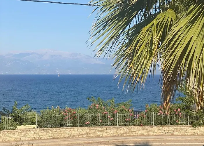 House * Petalídhion