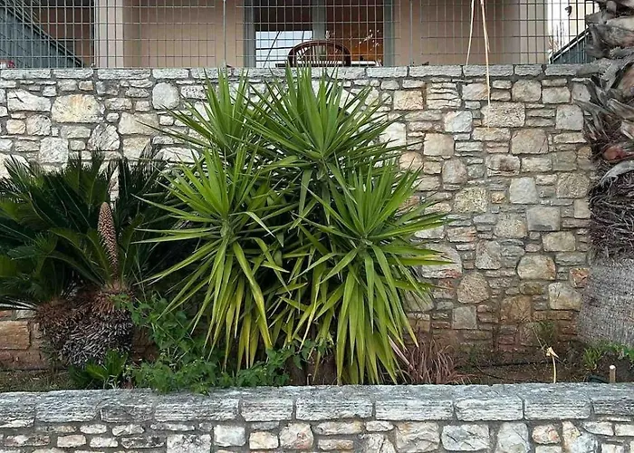 House * Petalídhion