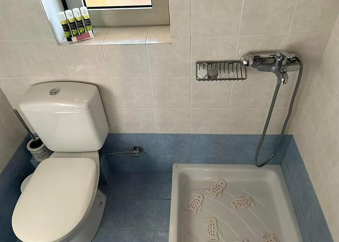 House * Petalídhion